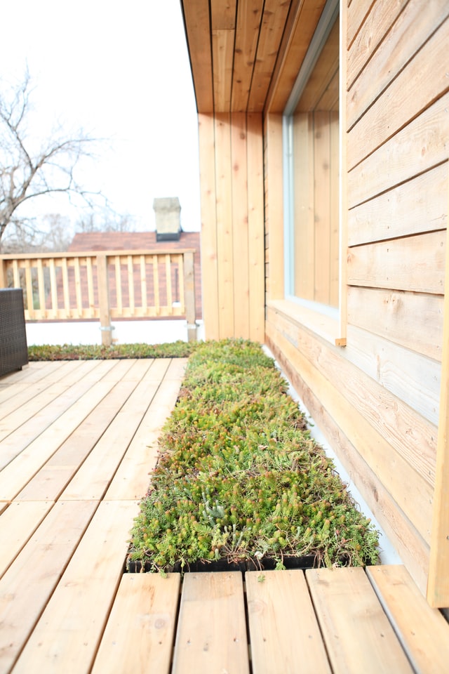 How to Landscape Around a Deck for a Better Backyard